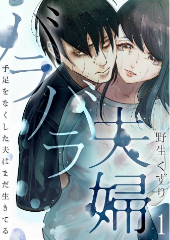 バラバラ夫婦～手足をなくした夫はまだ生きてる 無料 コミックシーモア試し読み